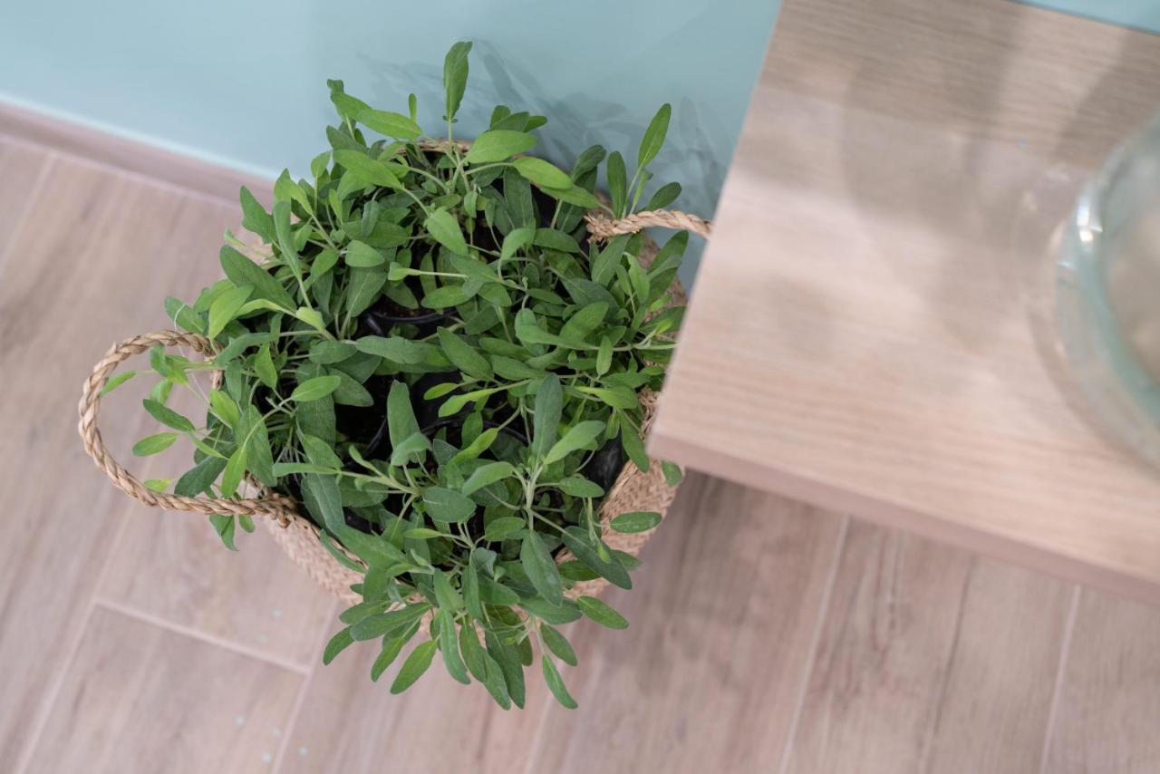 Viva Apartment Соренто Екстериор снимка